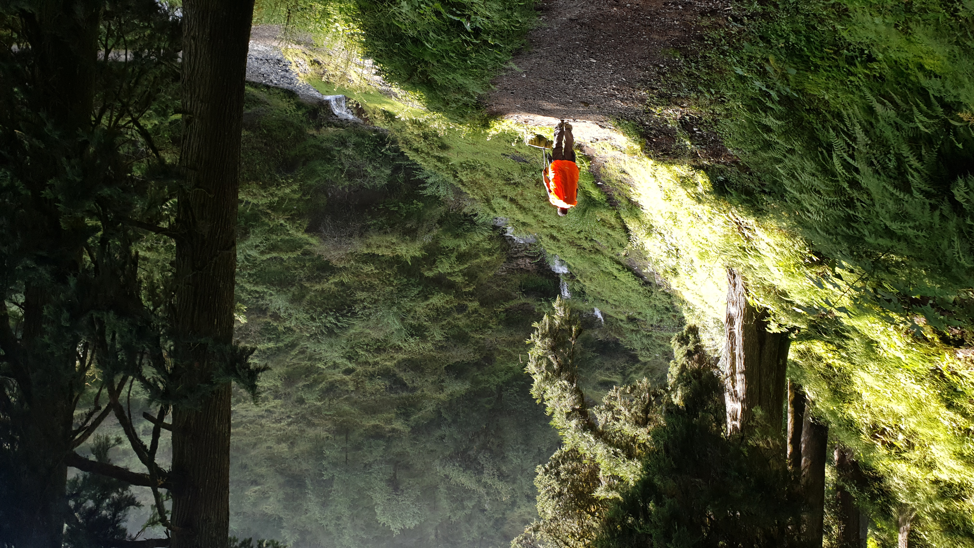 Ali Bedni Bugyal Trek